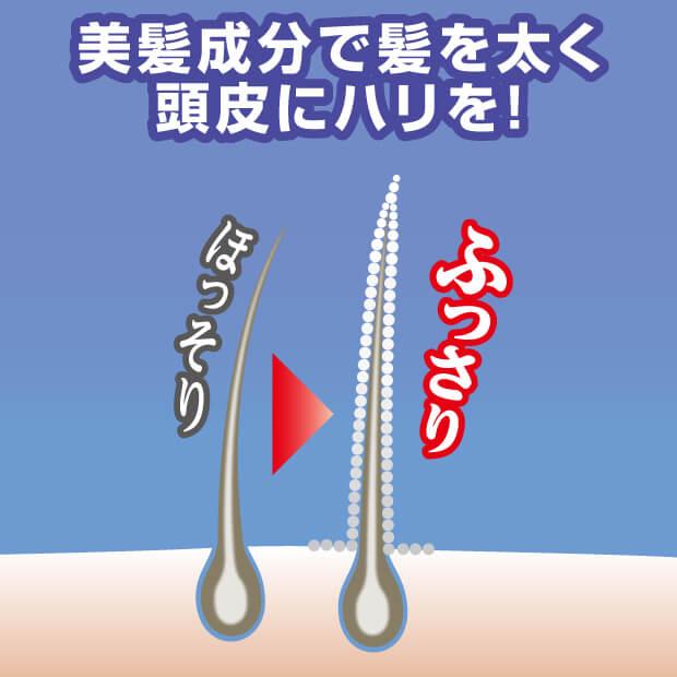 ふんわりヘアカラー シルバー 極 ふんわりパウダーでボリュームアップ 美しいシルバーヘアへ |  | 03