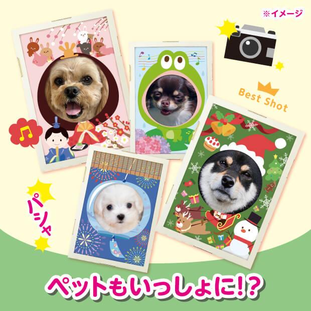 笑顔いっぱい顔はめ遊びセット 笑顔いっぱいの「顔はめ」写真を撮ろう |  | 06