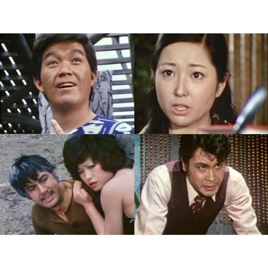 特捜記者 コレクターズDVD 昭和の名作ライブラリー 第163集 ベスト