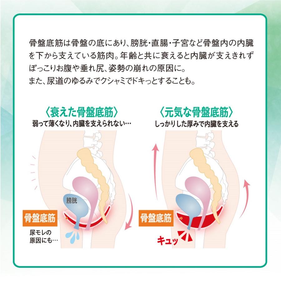 武田美保監修 内転筋スパッツ 男女兼用 内転筋を鍛えて美姿勢＆安定歩行を目指す |  | 06