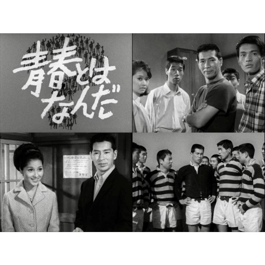 青春とはなんだ コレクターズDVD Vol.1 昭和の名作ライブラリー 第179集 ベストフィールド |  | 03