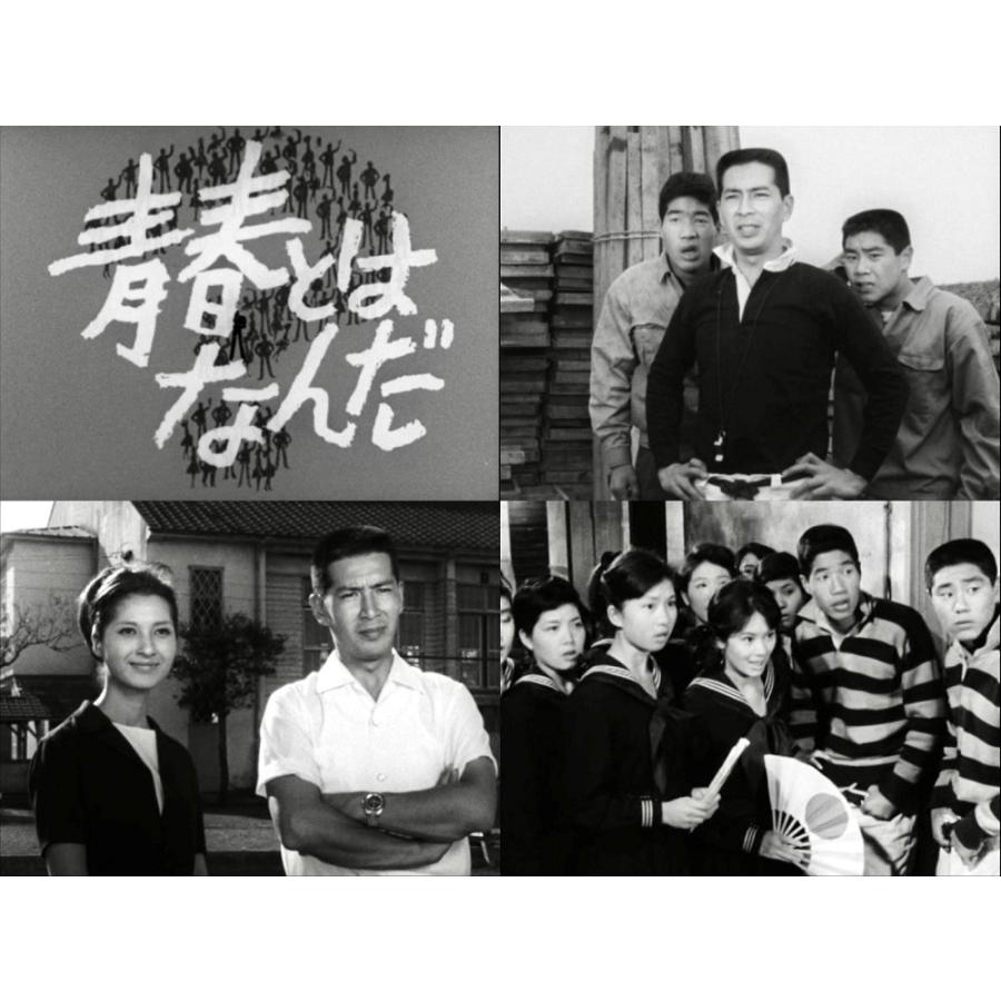 青春とはなんだ コレクターズDVD Vol.2 昭和の名作ライブラリー 第179集 ベストフィールド |  | 02