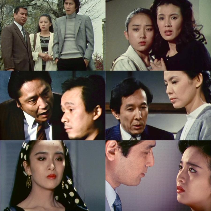 美女と男たちの事件簿シリーズ2 昭和の名作ライブラリー 第184集 ベストフィールド |  | 04