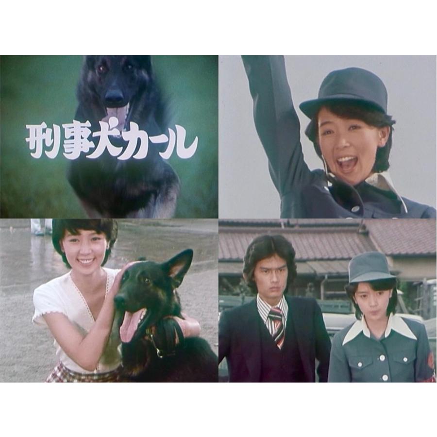 刑事犬カール コレクターズDVD 昭和の名作ライブラリー 第185集 ベストフィールド |  | 02
