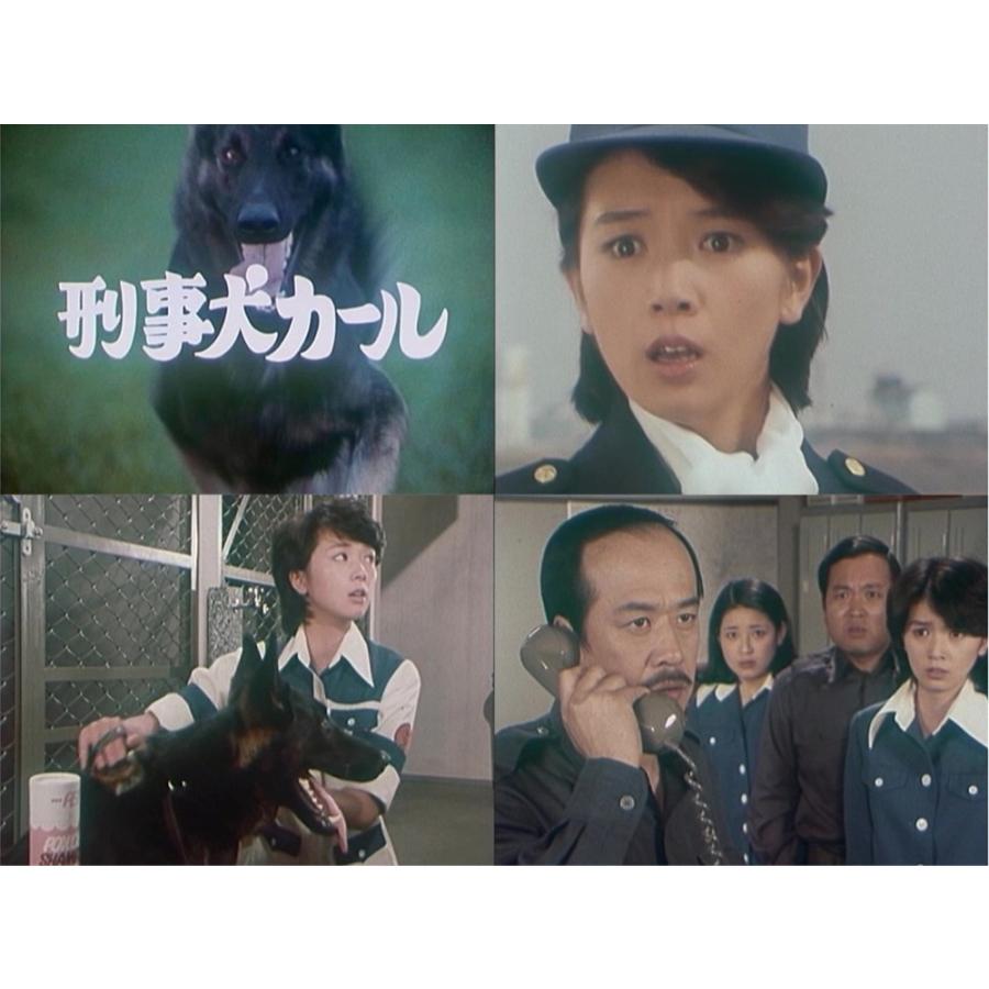 刑事犬カール コレクターズDVD 昭和の名作ライブラリー 第185集 ベストフィールド |  | 03