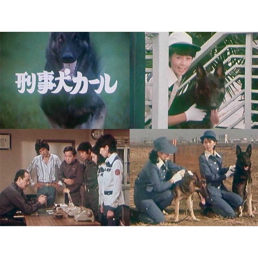刑事犬カール コレクターズDVD 昭和の名作ライブラリー 第185集 ベストフィールド |  | 05