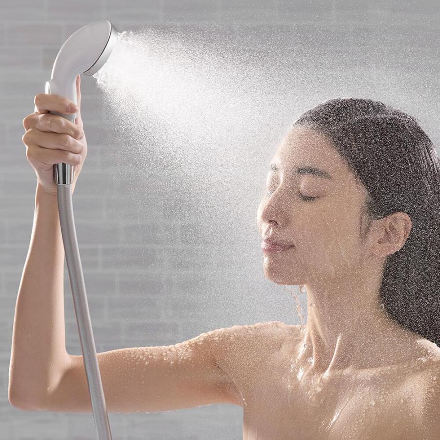 ピュアラスフィニッシュミスト スターターキット TK-P220 ミスト