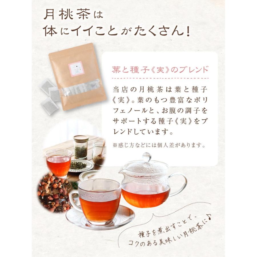 【送料無料】月桃茶 お茶 ティーパック 4g×20個入り オーガニック ダイエット 美容 ポリフェノール 健康茶 和ハーブ ルイボスティー｜plusentrysoreyhs｜06