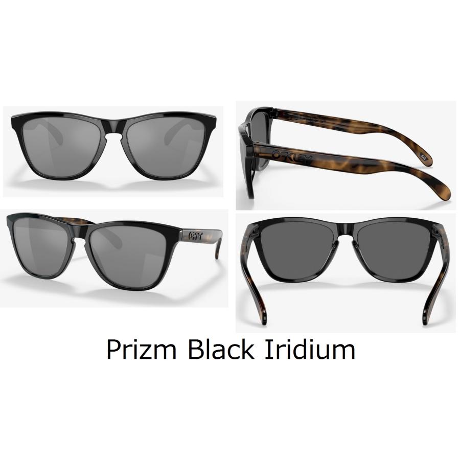 OAKLEY（オークリー） 国内正規品 フロッグスキン Frogskins ( Low