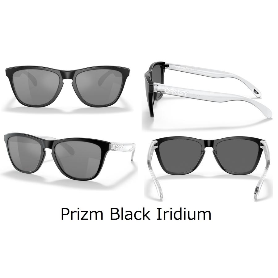 OAKLEY（オークリー） 国内正規品 フロッグスキン Frogskins ( Low