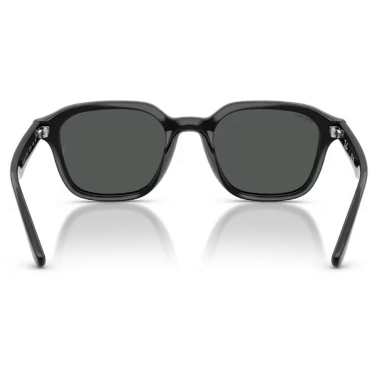 Ray-Ban（レイバン） 正規保証書(押印)付 Ray-Ban 4458D ( Low Bridge