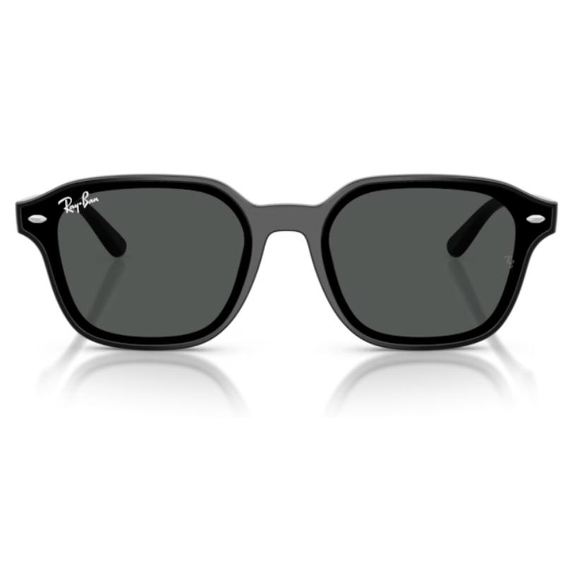 Ray-Ban（レイバン） 正規保証書(押印)付 Ray-Ban 4458D ( Low Bridge