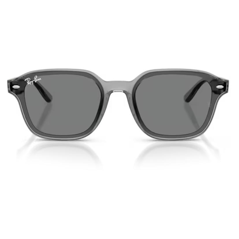Ray-Ban RB4458D グレー サングラス RB4458D Sunglasses in Transparent Grey and Dark Brown