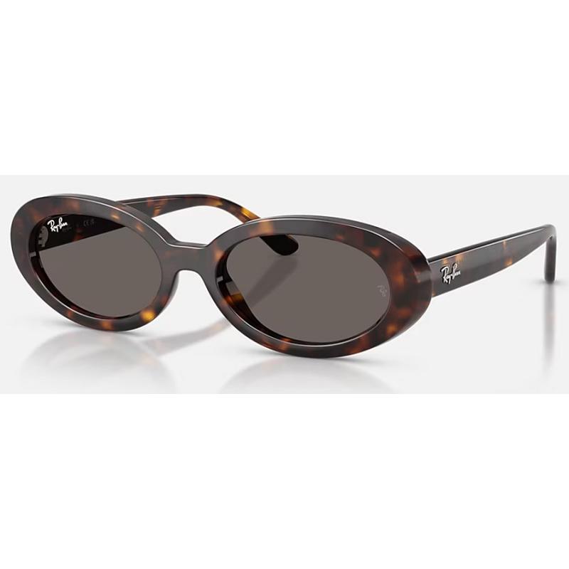 Ray-Ban（レイバン） 正規保証書(押印)付 Ray-Ban 2223F ( Low Bridge