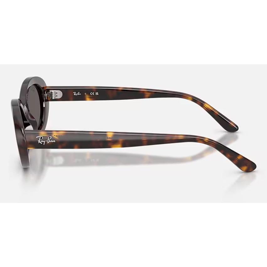 Ray-Ban（レイバン） 正規保証書(押印)付 Ray-Ban 2223F ( Low Bridge