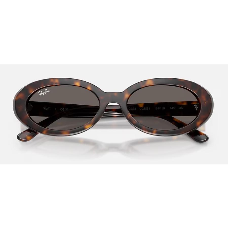 Ray-Ban（レイバン） 正規保証書(押印)付 Ray-Ban 2223F ( Low Bridge