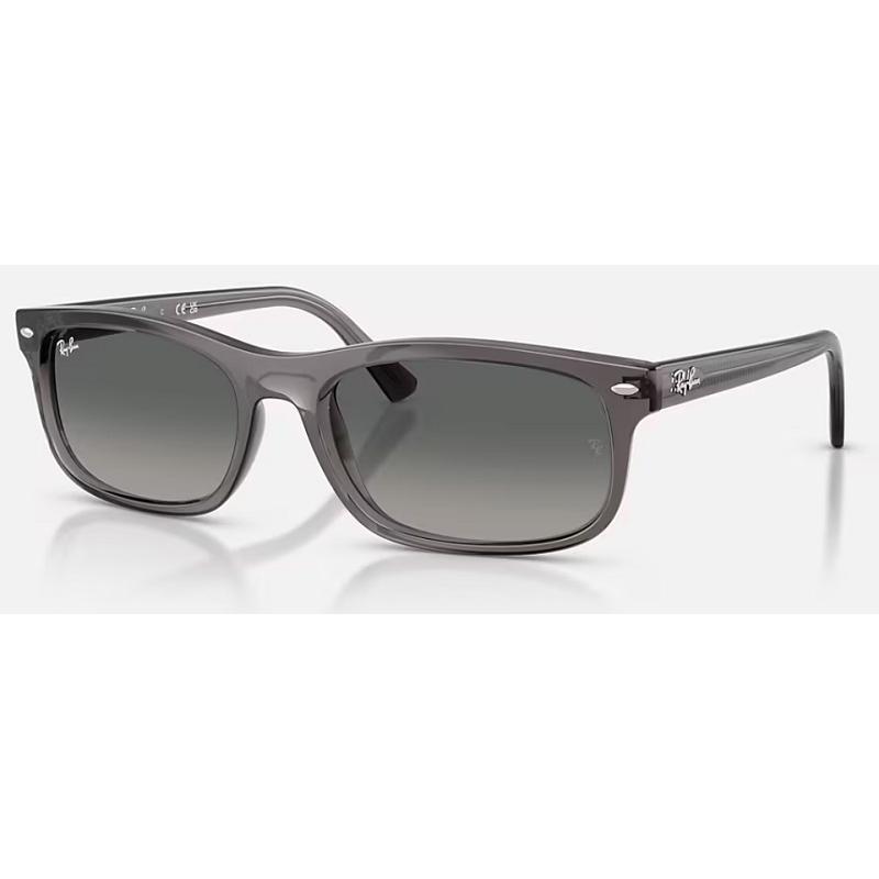 Ray-Ban（レイバン） 正規保証書(押印)付 Ray-Ban 2224F ( Low Bridge