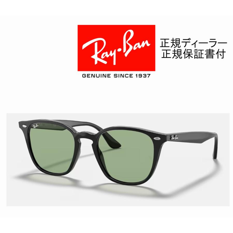 Ray-Ban 国内正規品 4258F レイバン RB4258F 601/2 52-20 ロー Ray-Ban 国内正規品 4258F レイバン RB4258F 601/2 52-20 ロー