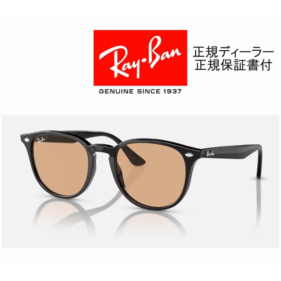 Ray-Ban 国内正規品 レイバン RB4259F 601/93 53-20 ロー Ray-Ban 国内正規品 レイバン RB4259F 601/93 53-20 ロー