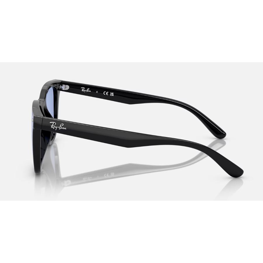 Ray-Ban 国内正規品 レイバン 4391D RB4391D 601/80 65-18 ロー Ray-Ban 国内正規品 レイバン 4391D RB4391D 601/80 65-18 ロー