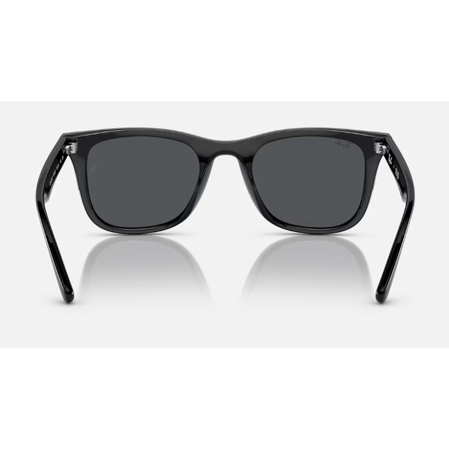 レイバン Ray-Ban 4391D RB4391D 601/87 65-18 ローブリッジフィット アジアンフィット  国内正規品 正規保証書付 即納｜plusfavo｜04