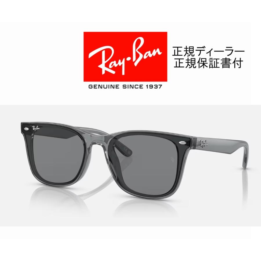 Ray-Ban 国内正規品 レイバン 4391D RB4391D 645087 65-18 ロー Ray-Ban 国内正規品 レイバン 4391D RB4391D 645087 65-18 ロー