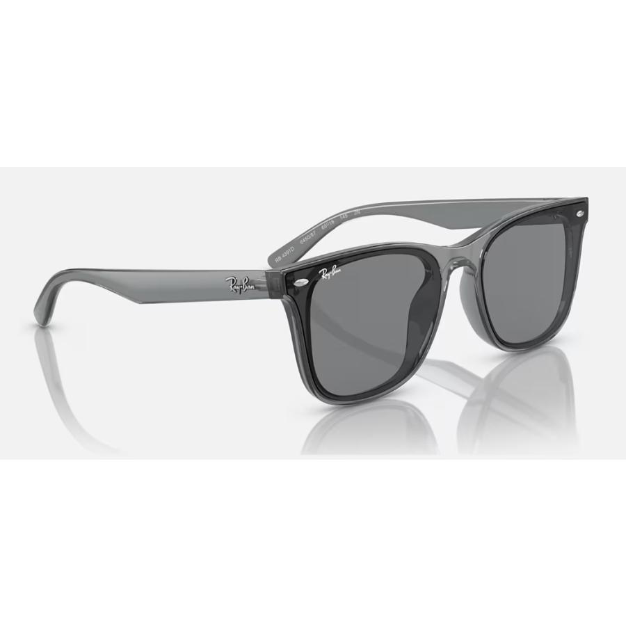 Ray-Ban 国内正規品 レイバン 4391D RB4391D 645087 65-18 ロー Ray-Ban 国内正規品 レイバン 4391D RB4391D 645087 65-18 ロー