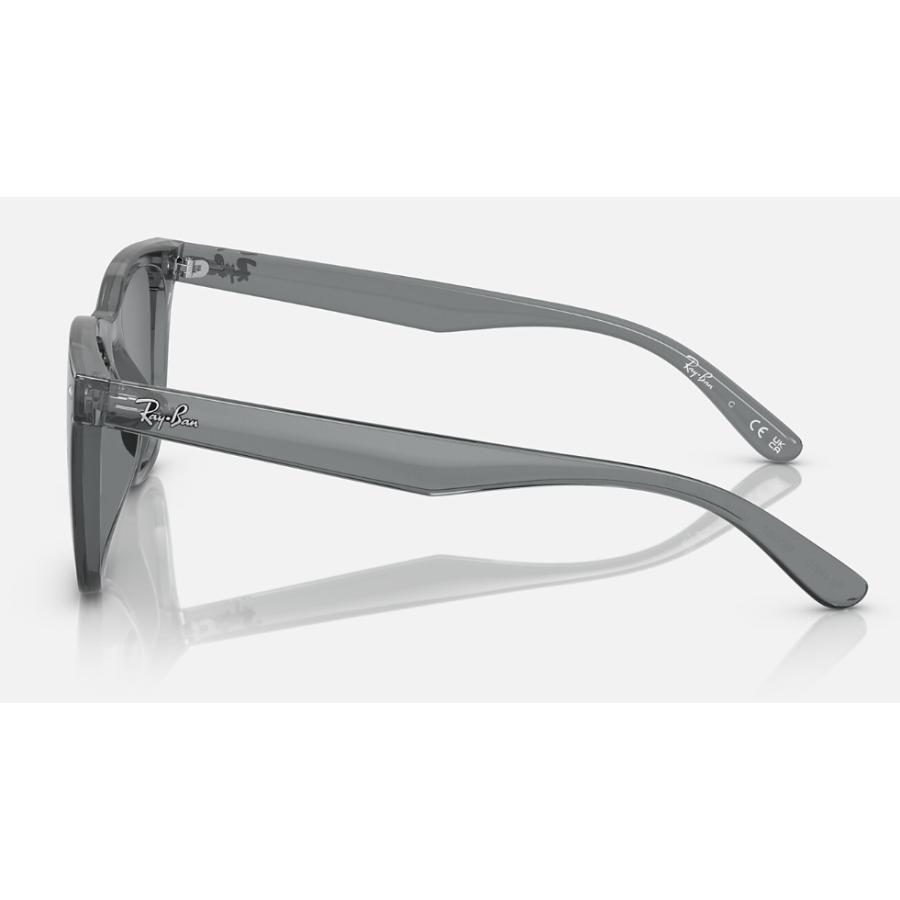 Ray-Ban 国内正規品 レイバン 4391D RB4391D 645087 65-18 ロー Ray-Ban 国内正規品 レイバン 4391D RB4391D 645087 65-18 ロー