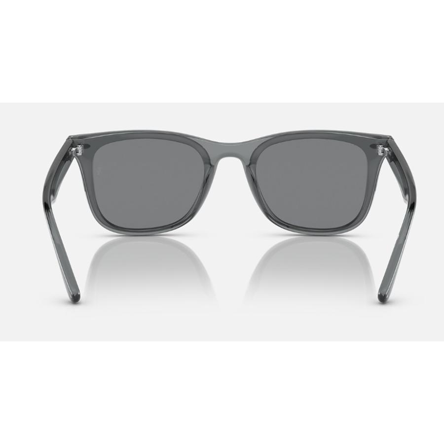 国内正規品 レイバン Ray-Ban RB4391D 645087 65-18 ロー 国内正規品 レイバン Ray-Ban RB4391D 645087 65-18 ロー