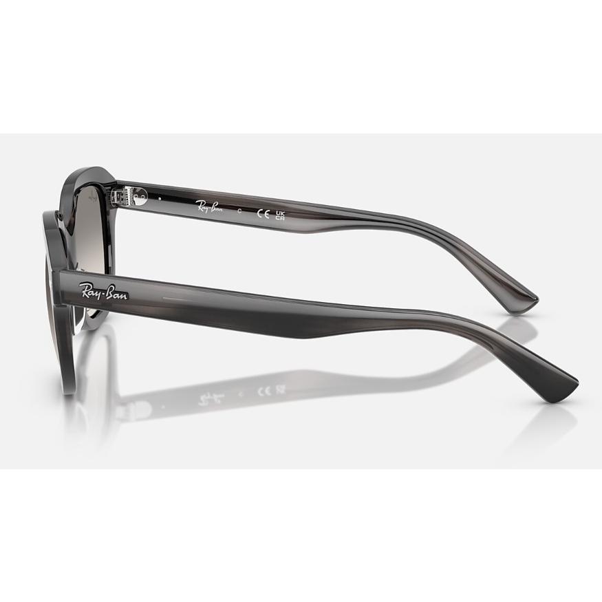 Ray-Ban（レイバン） 正規保証書(押印)付 Ray-Ban ERIK ( Low Bridge