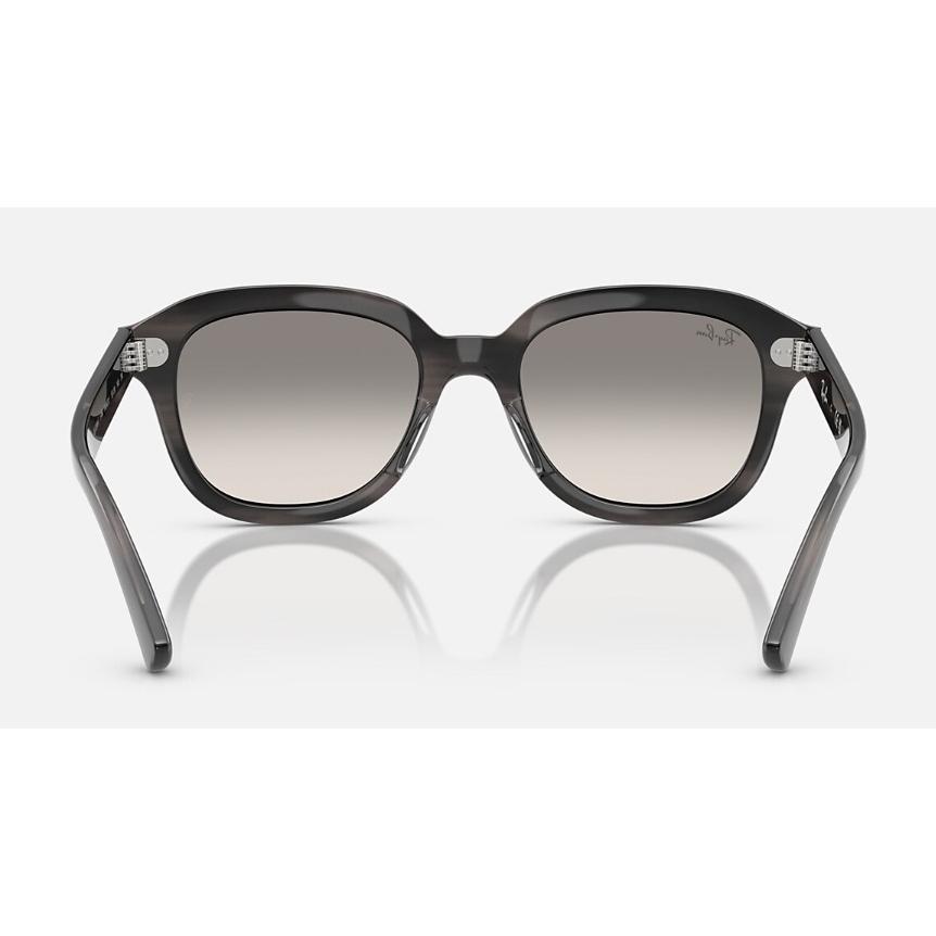 Ray-Ban（レイバン） 正規保証書(押印)付 Ray-Ban ERIK ( Low Bridge