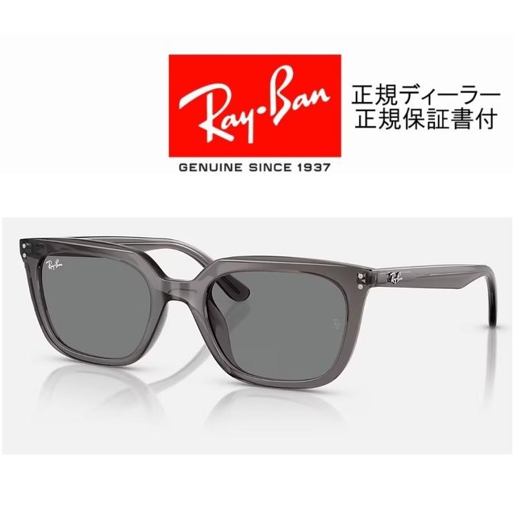 Ray-Ban 国内正規品 レイバン 4439D ( Low Bridge Fit ) RB4439D Ray-Ban 国内正規品 レイバン 4439D ( Low Bridge Fit ) RB4439D