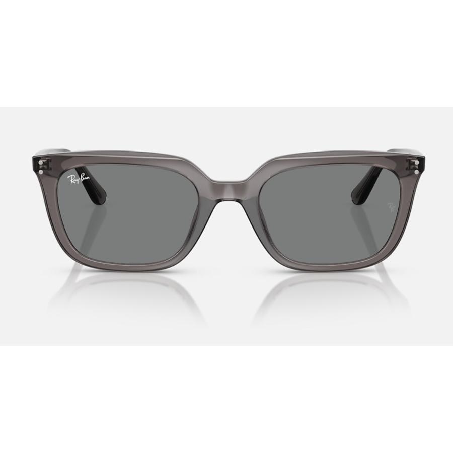 Ray-Ban 国内正規品 レイバン 4439D ( Low Bridge Fit ) RB4439D Ray-Ban 国内正規品 レイバン 4439D ( Low Bridge Fit ) RB4439D