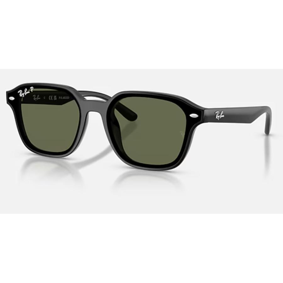 Ray-Ban 正規保証書(押印)付 レイバン 4458D ( Low Bridge Fit