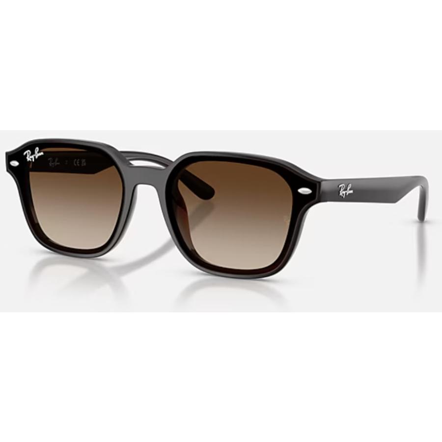 Ray-Ban（レイバン） 正規保証書(押印)付 Ray-Ban 4458D ( Low Bridge