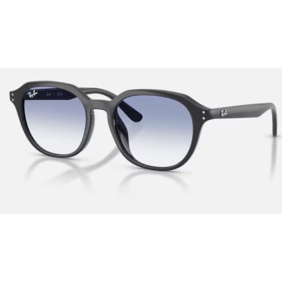 Ray-Ban 正規保証書(押印)付 レイバン 4459D ( Low Bridge Fit