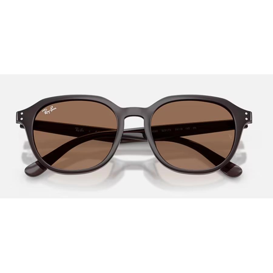 Ray-Ban 正規保証書(押印)付 レイバン 4459D ( Low Bridge Fit