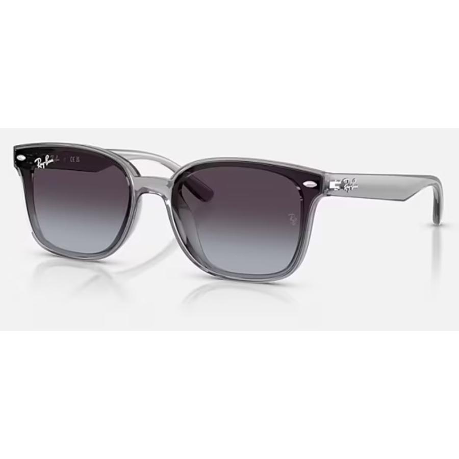 Ray-Ban 正規保証書(押印)付 レイバン 4461D ( Low Bridge Fit