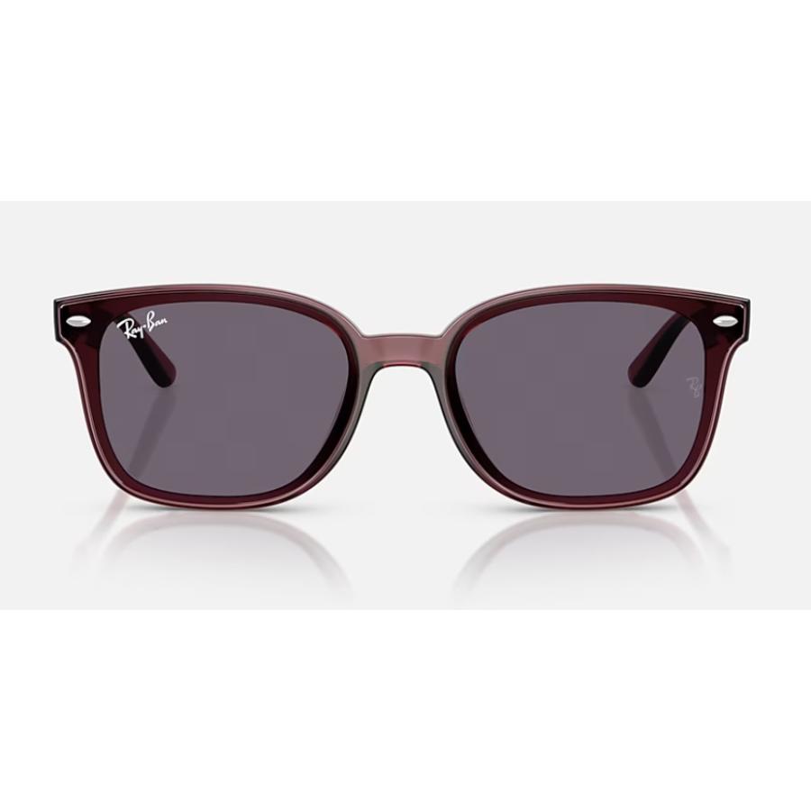 【美品】Ray-Ban レイバン RB4461D 601/80 64□17 Ray-Ban 国内正規品 レイバン 4461D ( Low Bridge Fit ) RB4461D