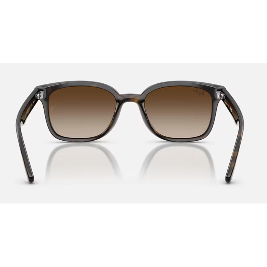 Ray-Ban（レイバン） 正規保証書(押印)付 Ray-Ban 4461D ( Low Bridge