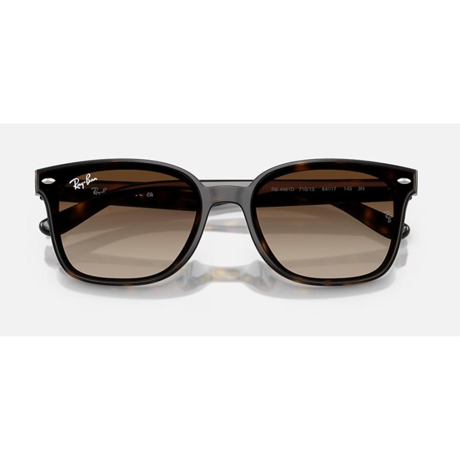 Ray-Ban（レイバン） 正規保証書(押印)付 Ray-Ban 4461D ( Low Bridge