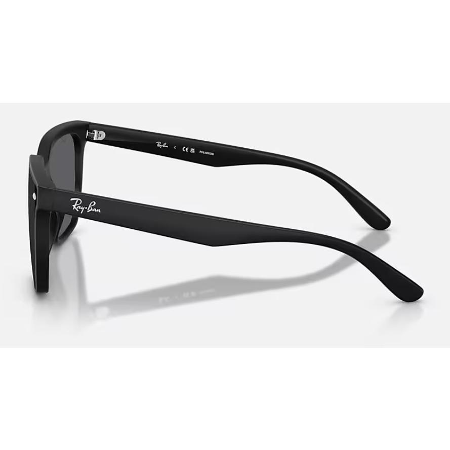 Ray-Ban（レイバン） 正規保証書(押印)付 Ray-Ban 4466D ( Low Bridge