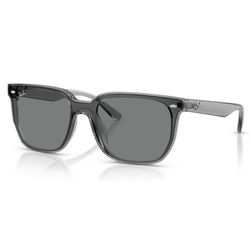 Ray-Ban（レイバン） 正規保証書(押印)付 Ray-Ban 4466D ( Low Bridge
