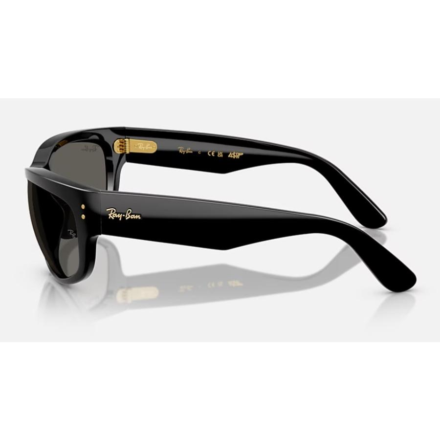 Ray-Ban 限定 正規保証書(押印)付 レイバン x ASAP ROCKY