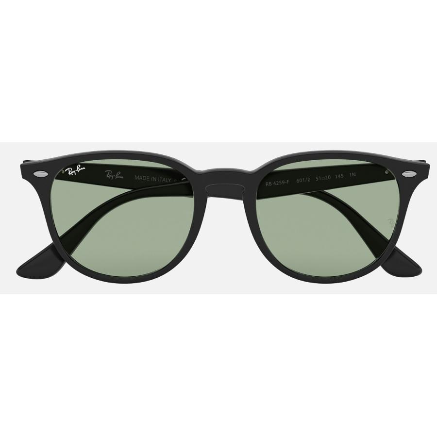Ray-Ban 国内正規品 レイバン RB4259F 601/2 53-20 WASHED Ray-Ban 国内正規品 レイバン RB4259F 601/2 53-20 WASHED