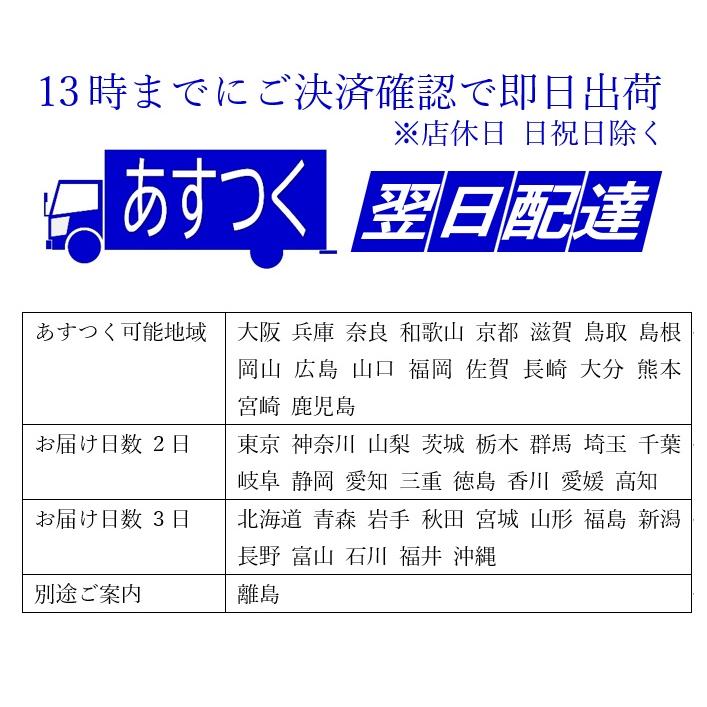 国内正規品 オークリー OAKLEY スートロ SUTRO CUSTOM PRIZM OCE カスタム PRIZM 正規2年保証書 即納 20 | OAKLEY | 11