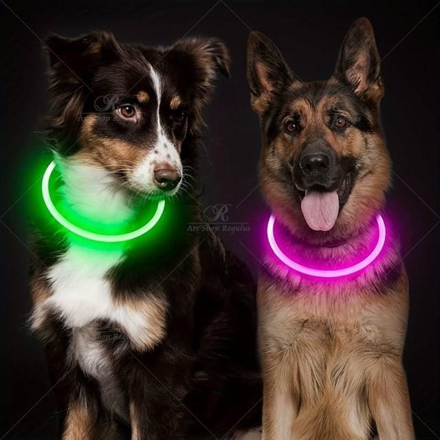 1本【紛失防止】ペット犬の LED ライト　首輪　全体が夜間発光　安全性　 USB 充電式　外出　犬カラー　夜間散歩　お出かけ FREE |  | 01