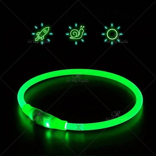 1本【紛失防止】ペット犬の LED ライト　首輪　全体が夜間発光　安全性　 USB 充電式　外出　犬カラー　夜間散歩　お出かけ FREE |  | 02