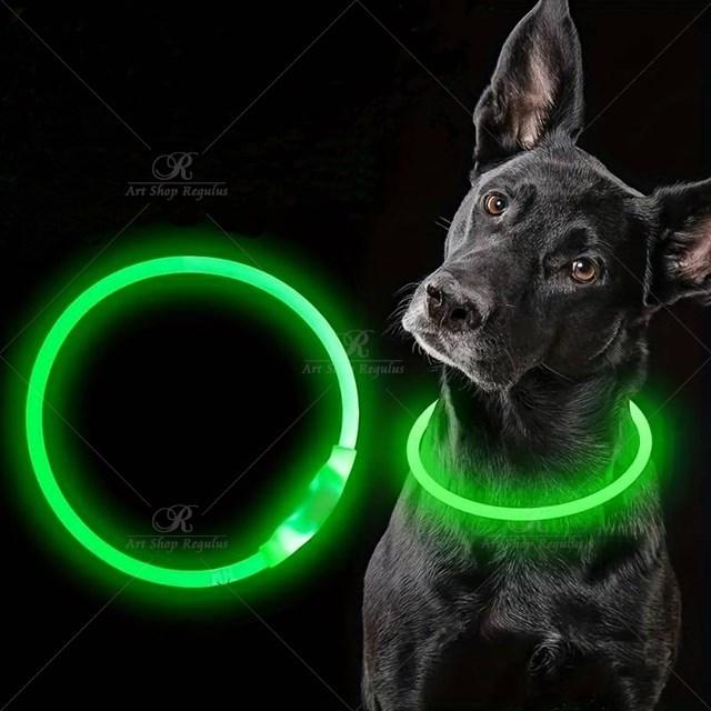 1本【紛失防止】ペット犬の LED ライト　首輪　全体が夜間発光　安全性　 USB 充電式　外出　犬カラー　夜間散歩　お出かけ FREE |  | 03