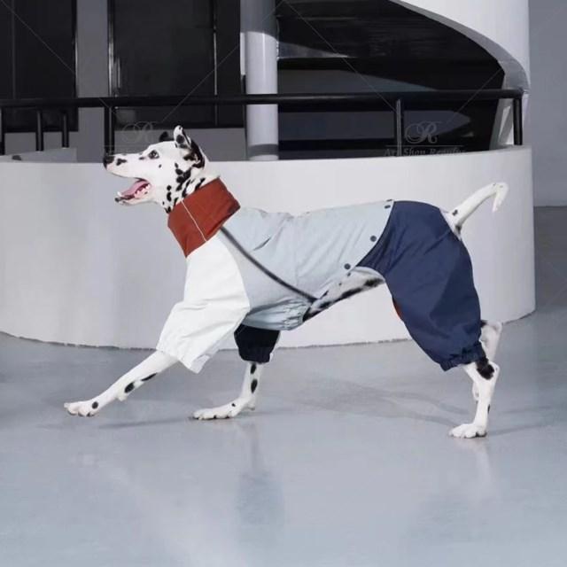 グリーハウンドのイタリアンウィペットジャケット,軽量,防風,小型および大型犬用 XXLの画像